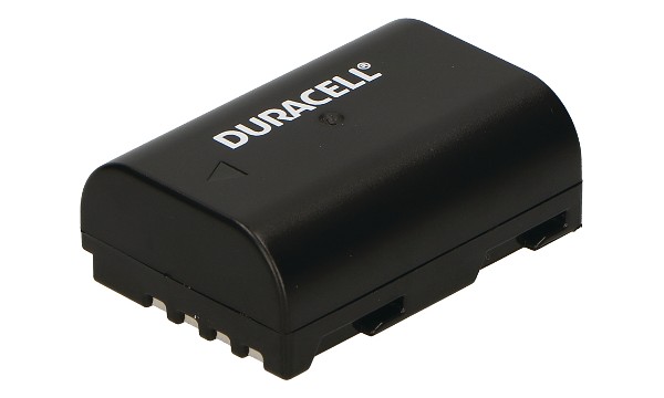 DMW-BLF19E Bateria (2 Komory)